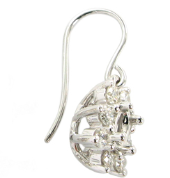 Earring with hook fitting