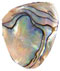 abalone(mother of pearl)